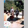 065 Melocoton.html